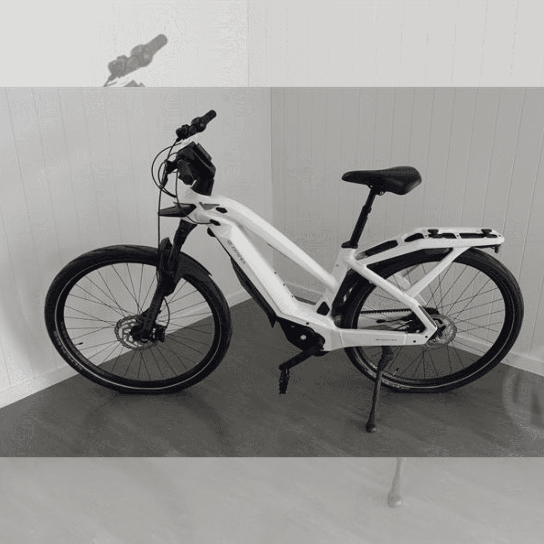 Bianchi Omnia Bicycle for sale