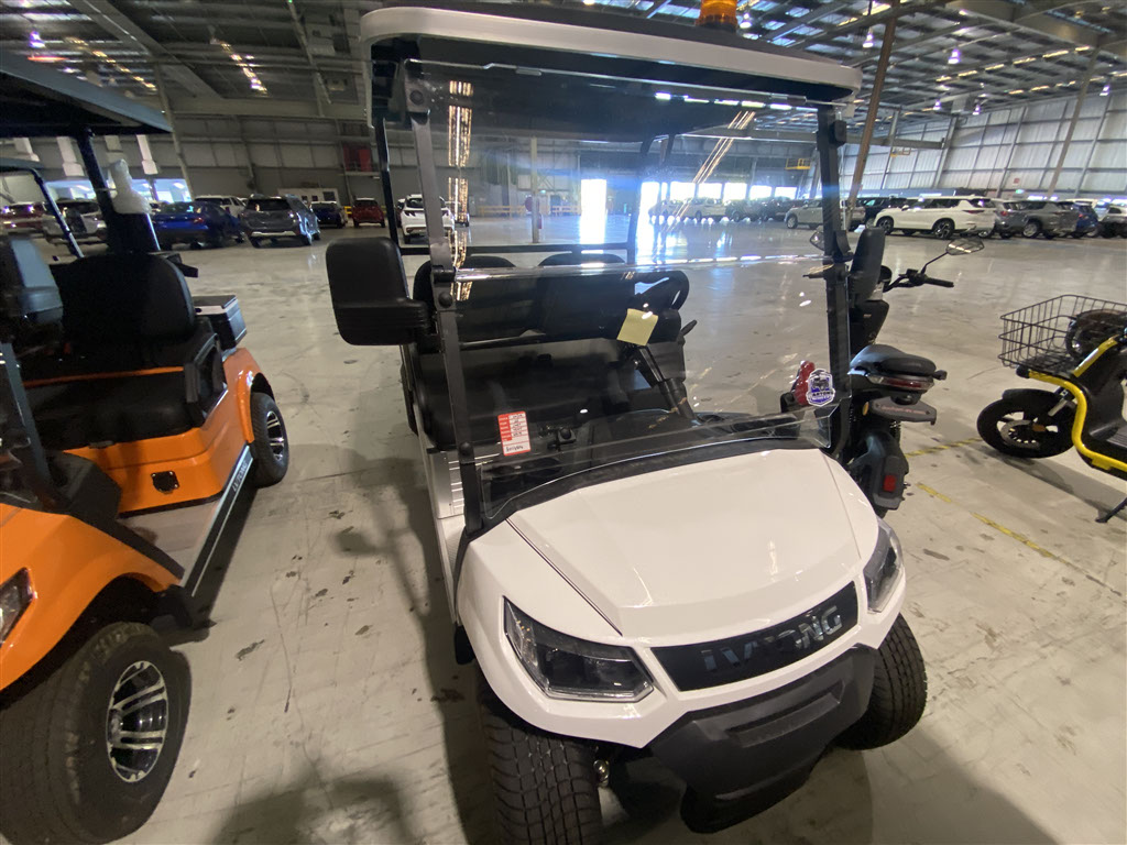 2022 LV Tong GOLF CART LWB UTE FOR SALE - MitchMarket